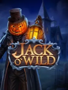 Jack O'Wild
